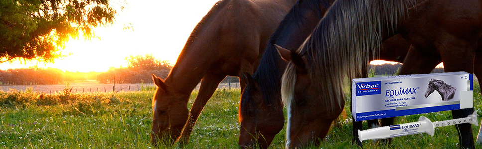 antiparasitario_caballos.png