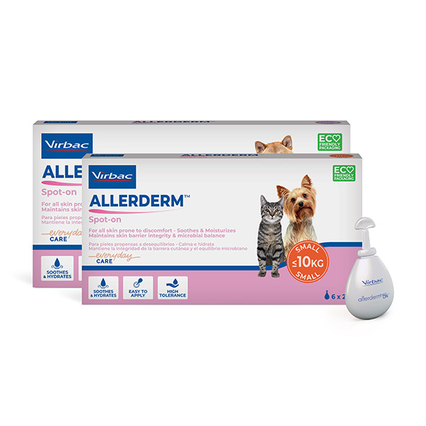 allegra es bueno para las alergias de los perros..html.html.html.html.html.html.html.html