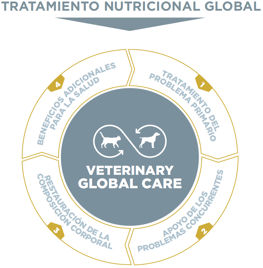 tratamiento-nutricional-global.PNG