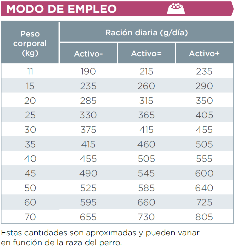 seniorlargemedium-modoempleo.PNG