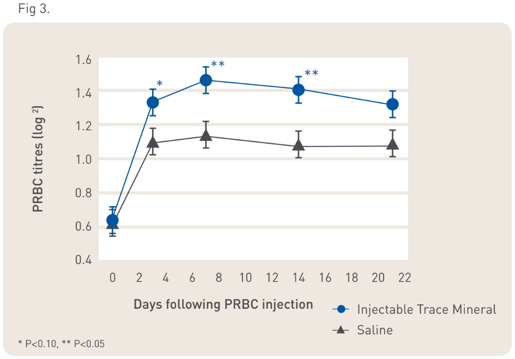 large animal graph 10.PNG