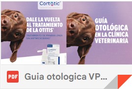 Guia otologica VP901154 210x297 mm (FINAL)-.pdf