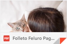 Folleto Feluro Pagina Simple.pdf